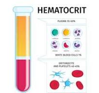 Hematocrit