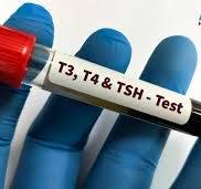 Thyroid Test