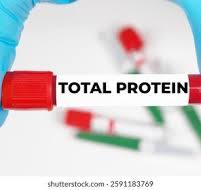 Total Protein Test